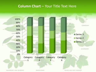 Raspberry Currant Redcurrant PowerPoint Template