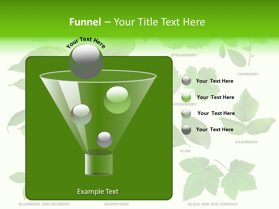 Raspberry Currant Redcurrant PowerPoint Template