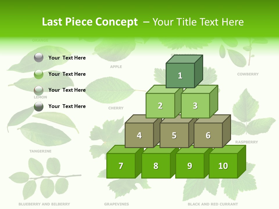 Raspberry Currant Redcurrant PowerPoint Template