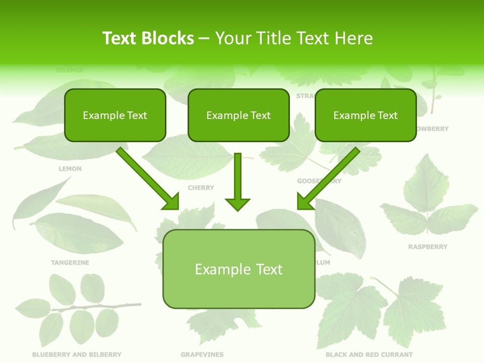 Raspberry Currant Redcurrant PowerPoint Template