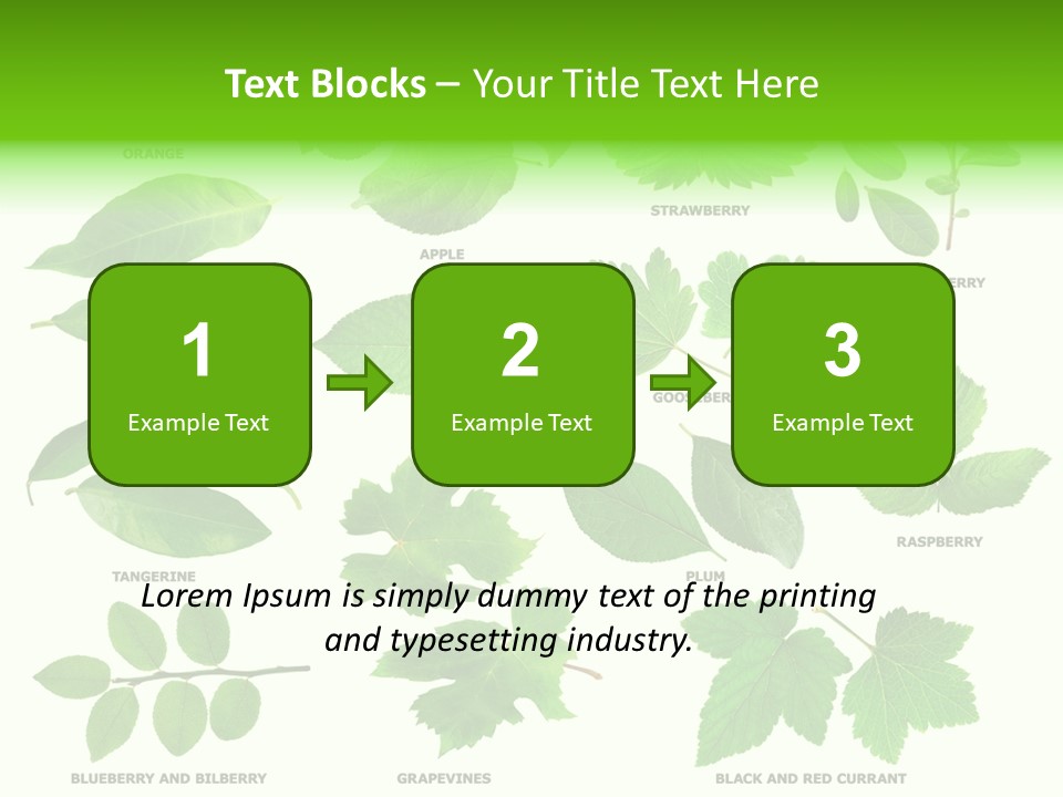 Raspberry Currant Redcurrant PowerPoint Template