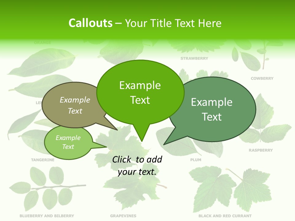 Raspberry Currant Redcurrant PowerPoint Template