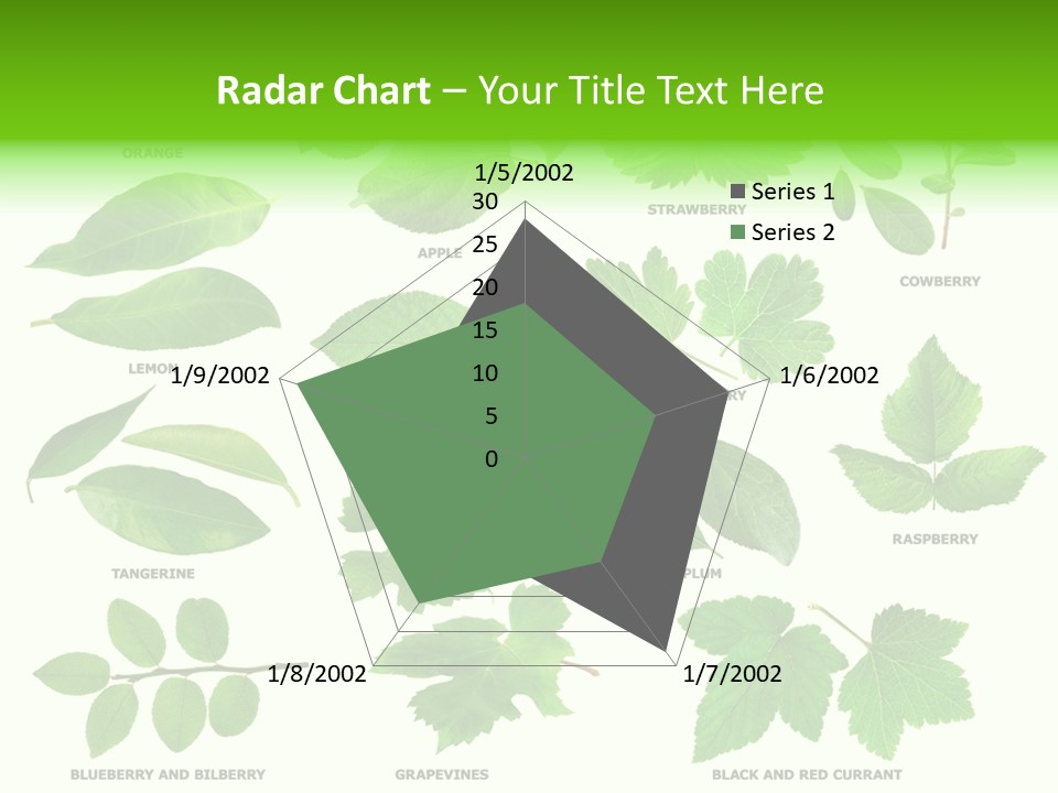 Raspberry Currant Redcurrant PowerPoint Template