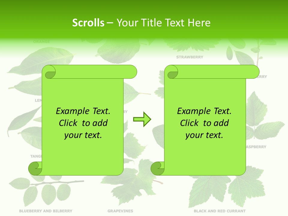 Raspberry Currant Redcurrant PowerPoint Template