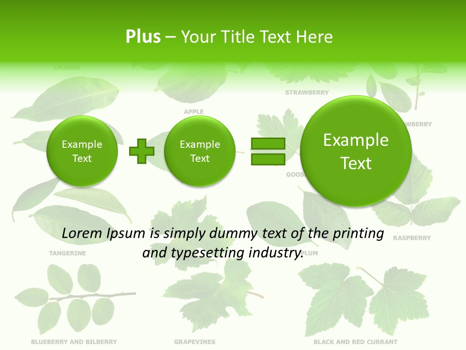 Raspberry Currant Redcurrant PowerPoint Template