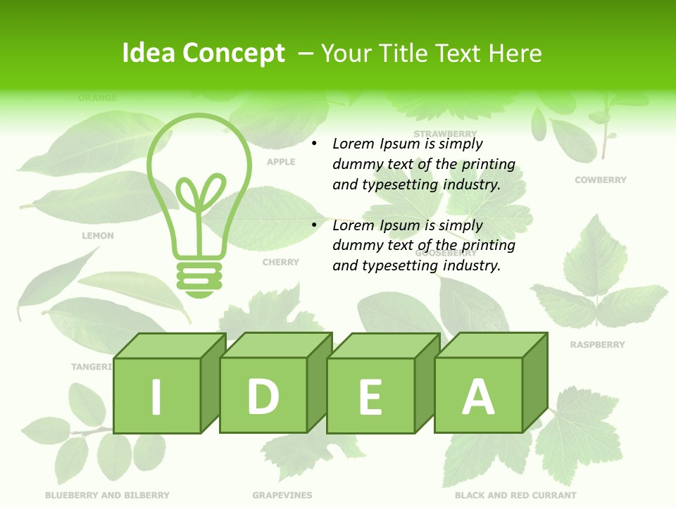 Raspberry Currant Redcurrant PowerPoint Template