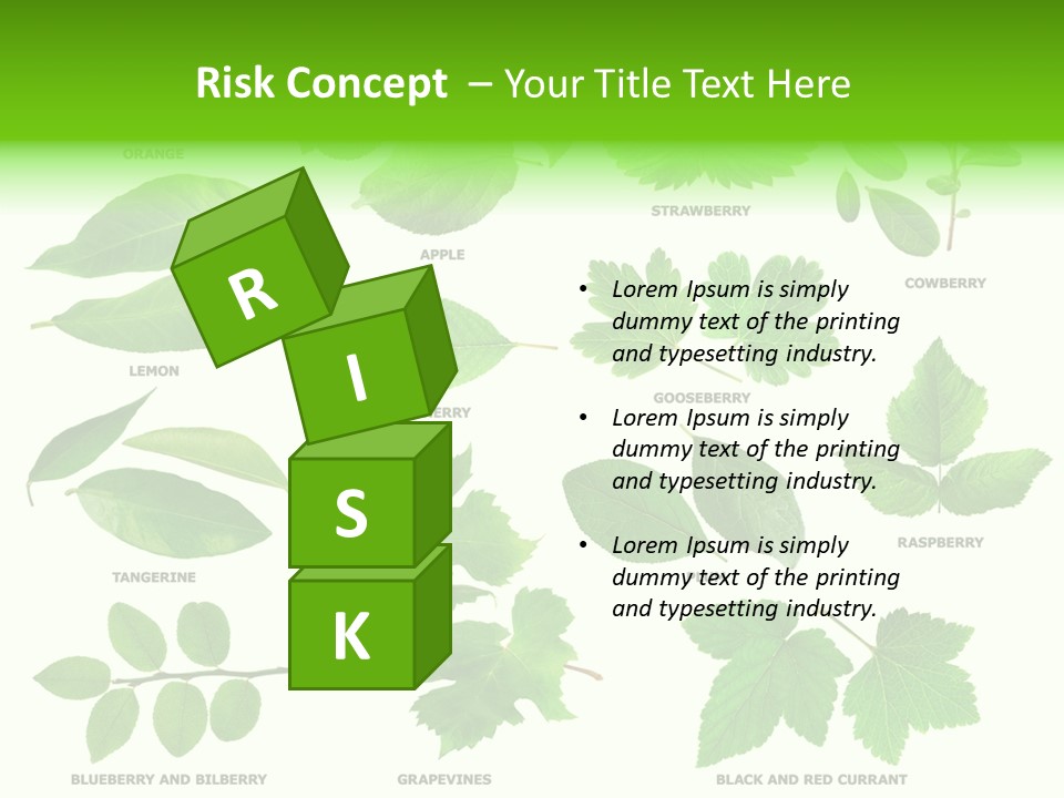 Raspberry Currant Redcurrant PowerPoint Template