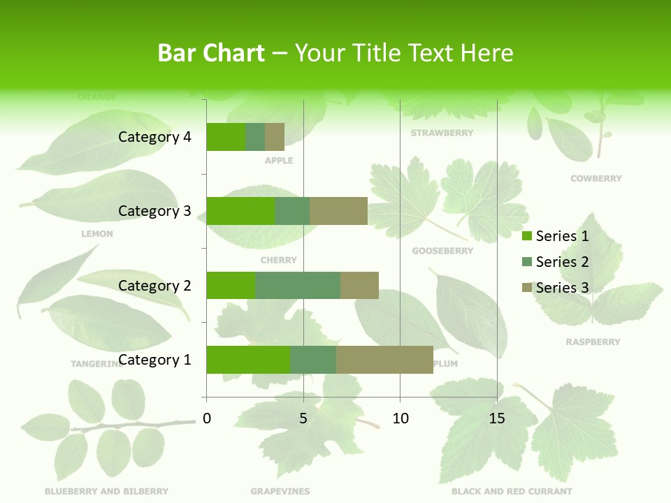 Raspberry Currant Redcurrant PowerPoint Template