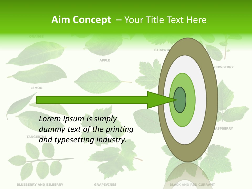 Raspberry Currant Redcurrant PowerPoint Template