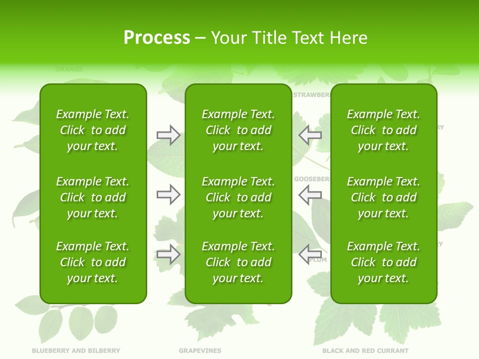 Raspberry Currant Redcurrant PowerPoint Template