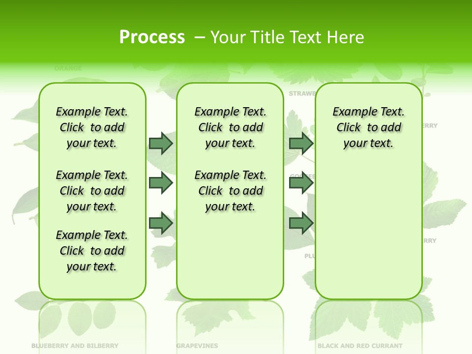 Raspberry Currant Redcurrant PowerPoint Template