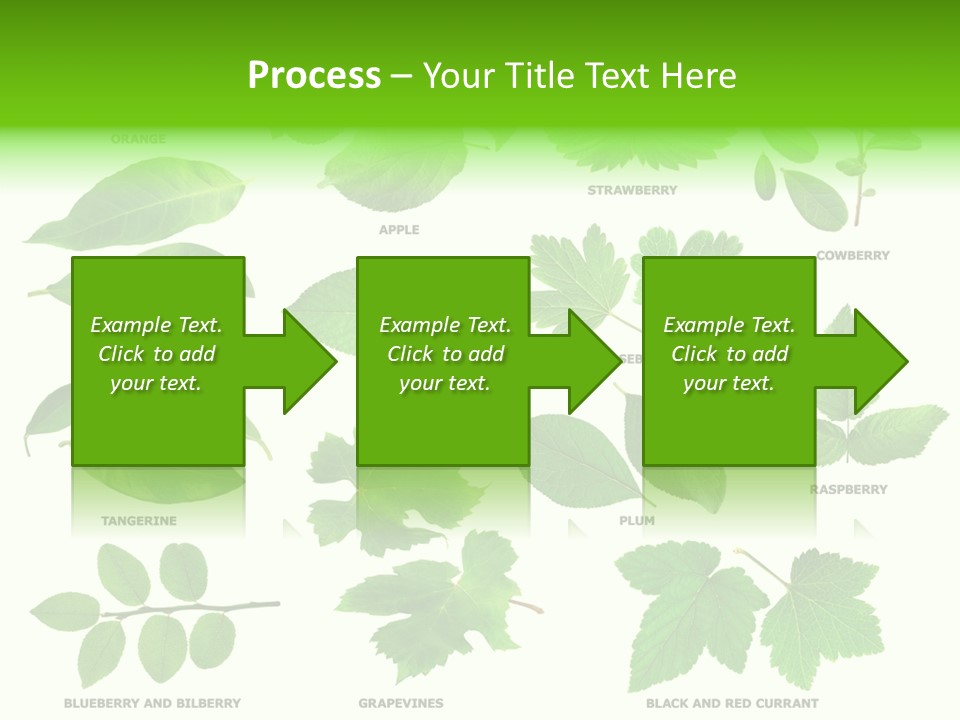 Raspberry Currant Redcurrant PowerPoint Template