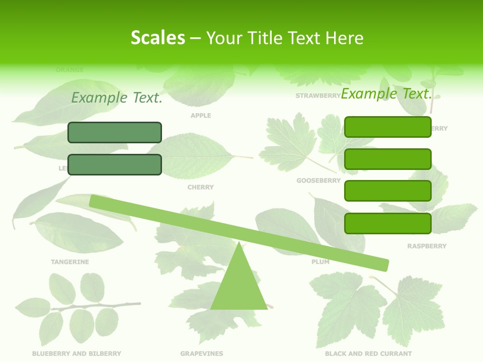 Raspberry Currant Redcurrant PowerPoint Template