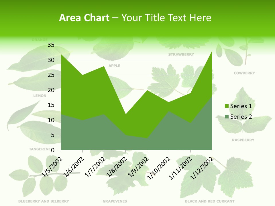 Raspberry Currant Redcurrant PowerPoint Template