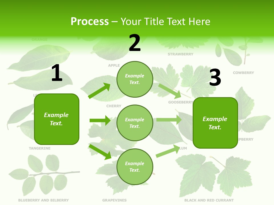 Raspberry Currant Redcurrant PowerPoint Template