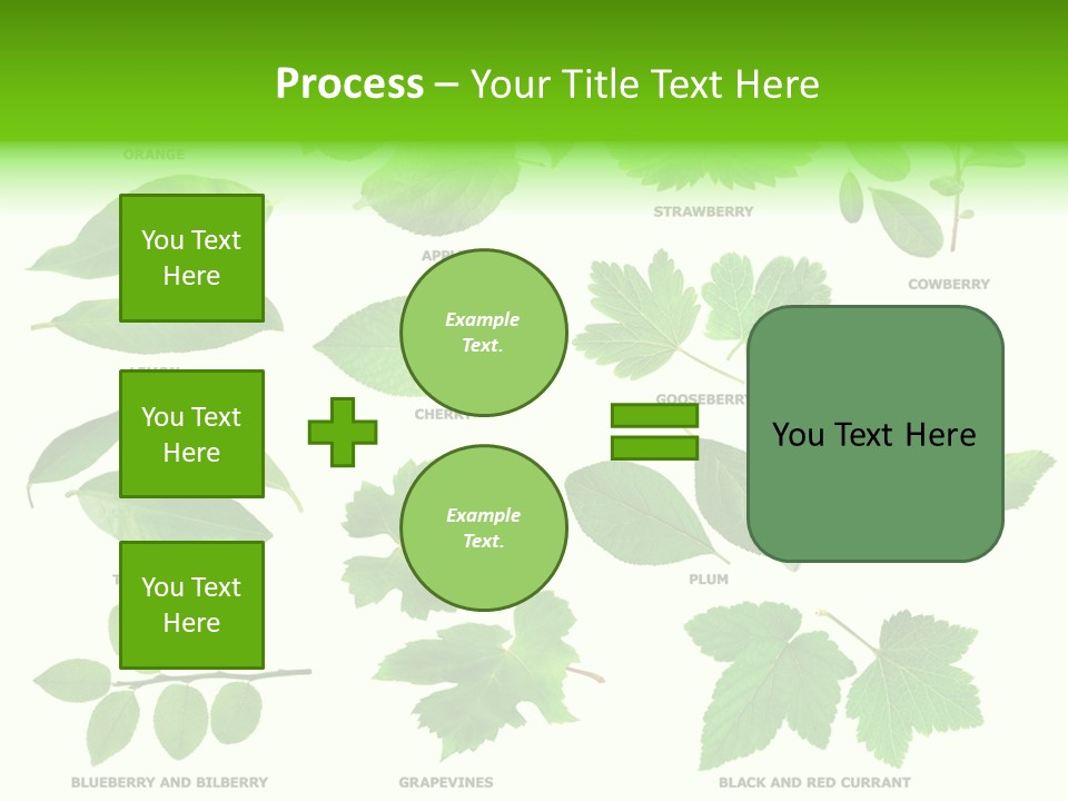 Raspberry Currant Redcurrant PowerPoint Template
