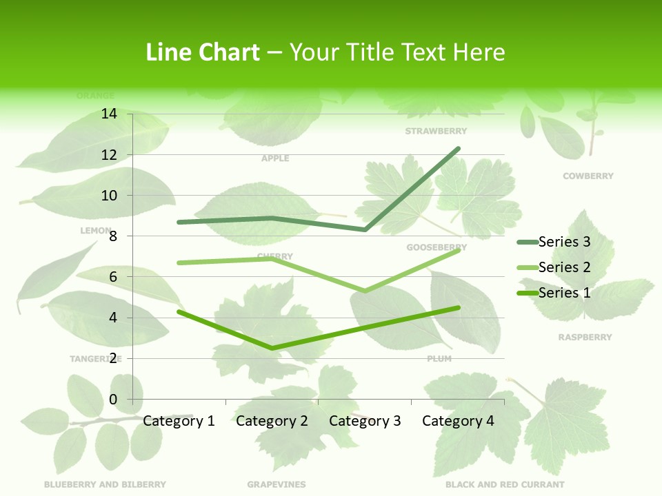 Raspberry Currant Redcurrant PowerPoint Template