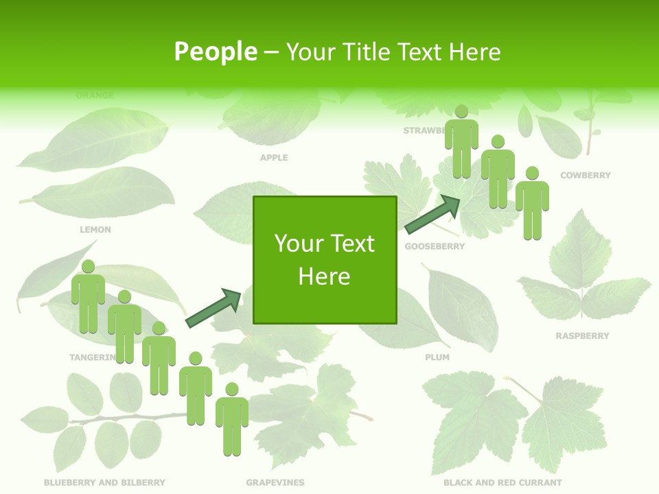 Raspberry Currant Redcurrant PowerPoint Template