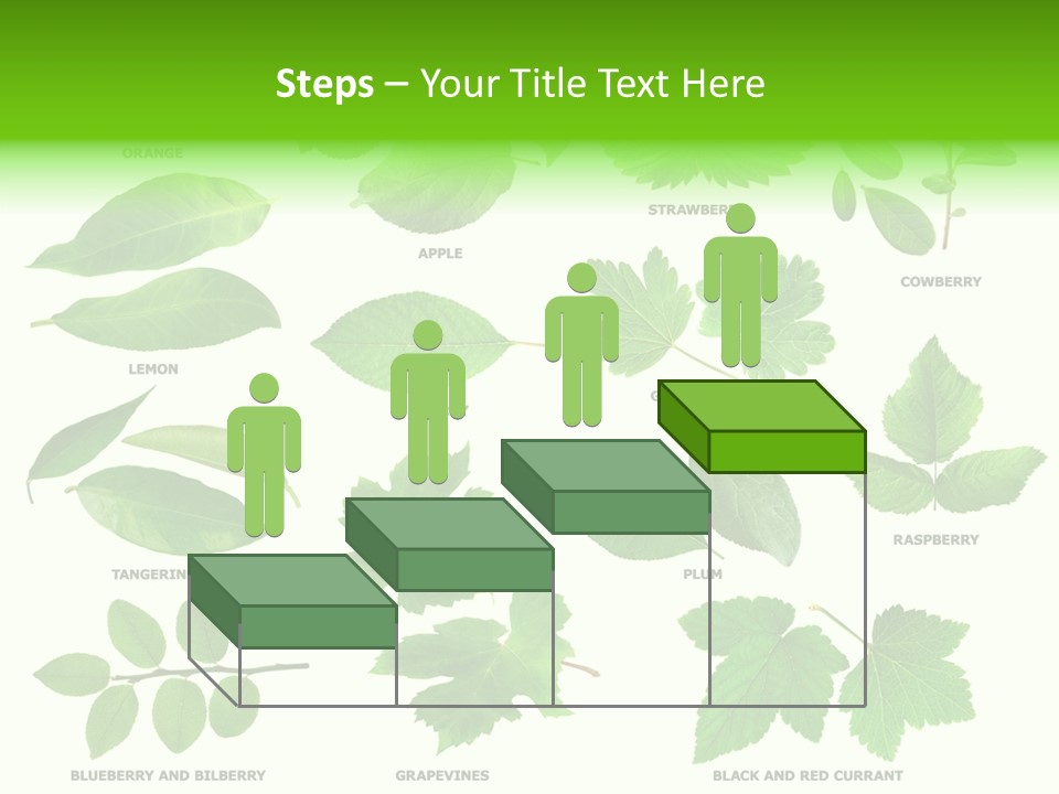 Raspberry Currant Redcurrant PowerPoint Template