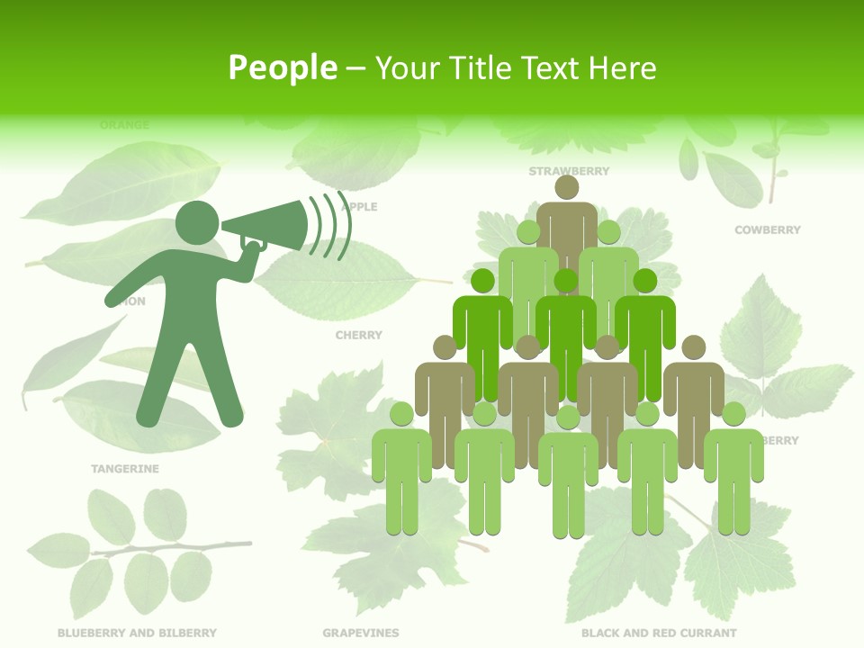 Raspberry Currant Redcurrant PowerPoint Template