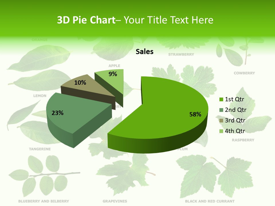 Raspberry Currant Redcurrant PowerPoint Template