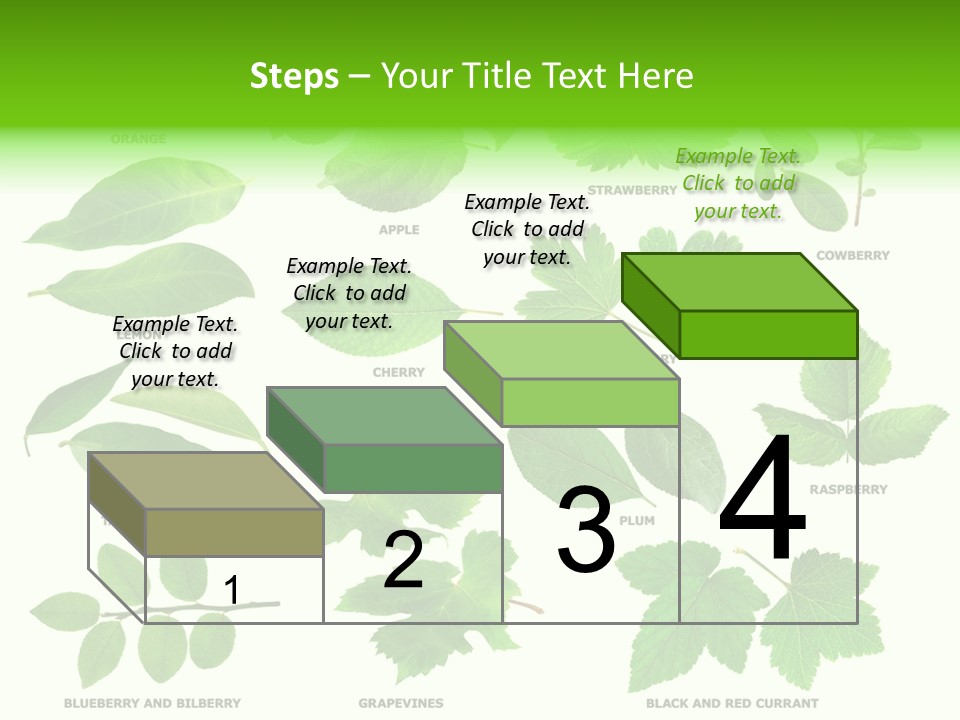 Raspberry Currant Redcurrant PowerPoint Template