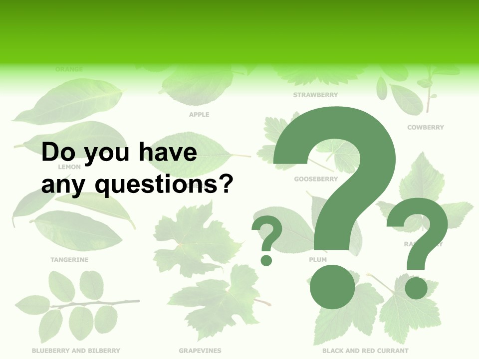 Raspberry Currant Redcurrant PowerPoint Template