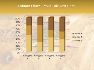 Nautical Compass Idea PowerPoint Template