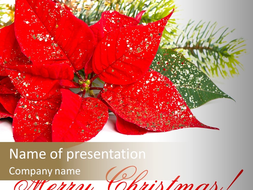 Decorative Flora Seasonal PowerPoint Template