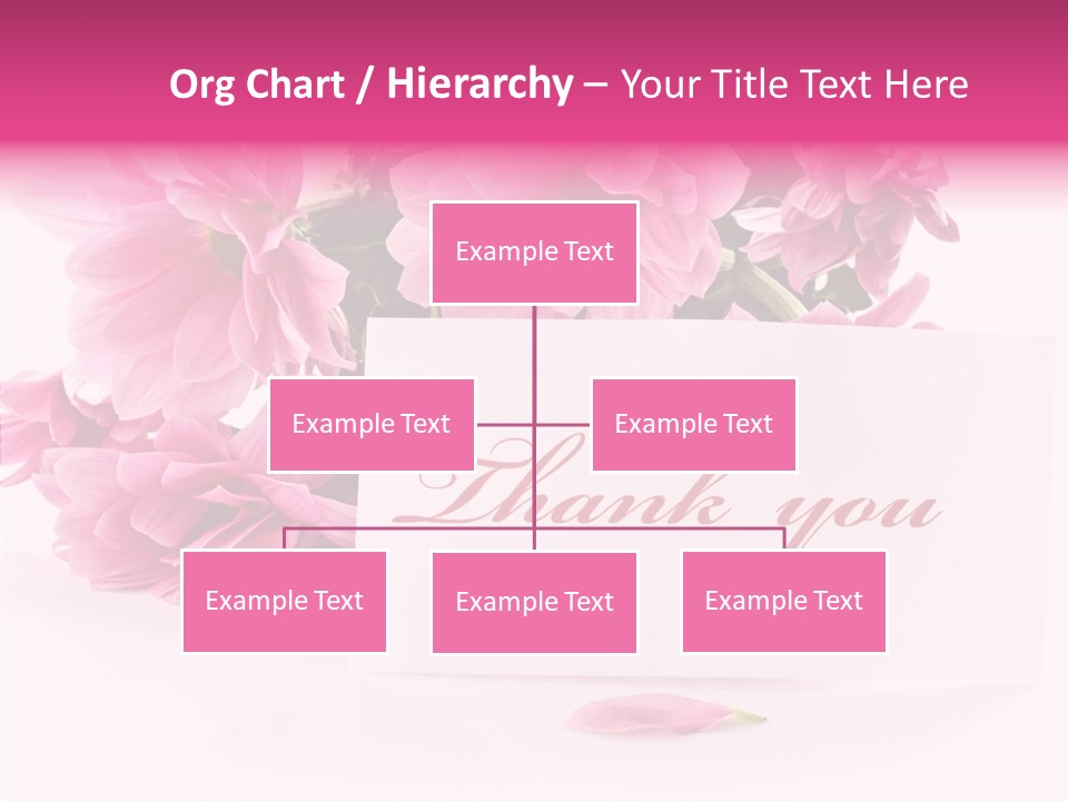 Blank Script Floral PowerPoint Template