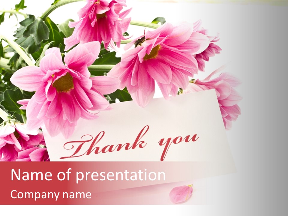 Paper Thank You PowerPoint Template