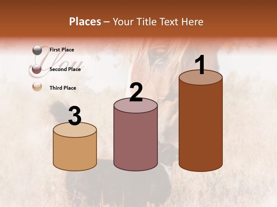 Equine Black Love PowerPoint Template