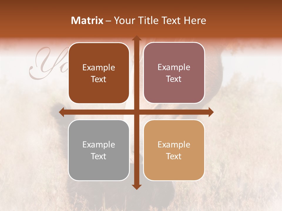 Equine Black Love PowerPoint Template