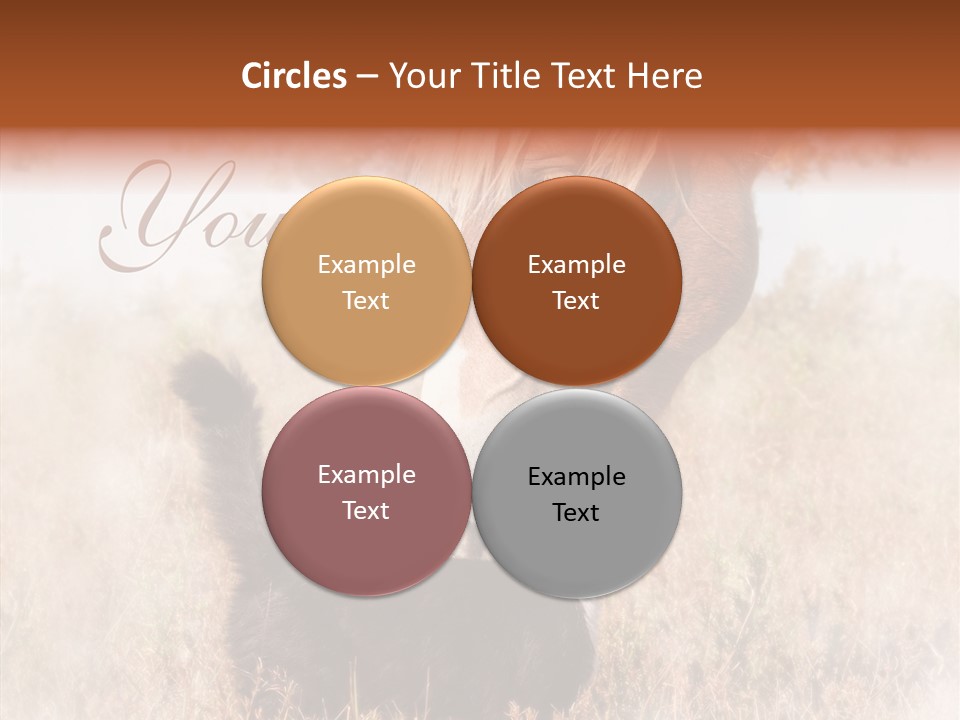 Equine Black Love PowerPoint Template