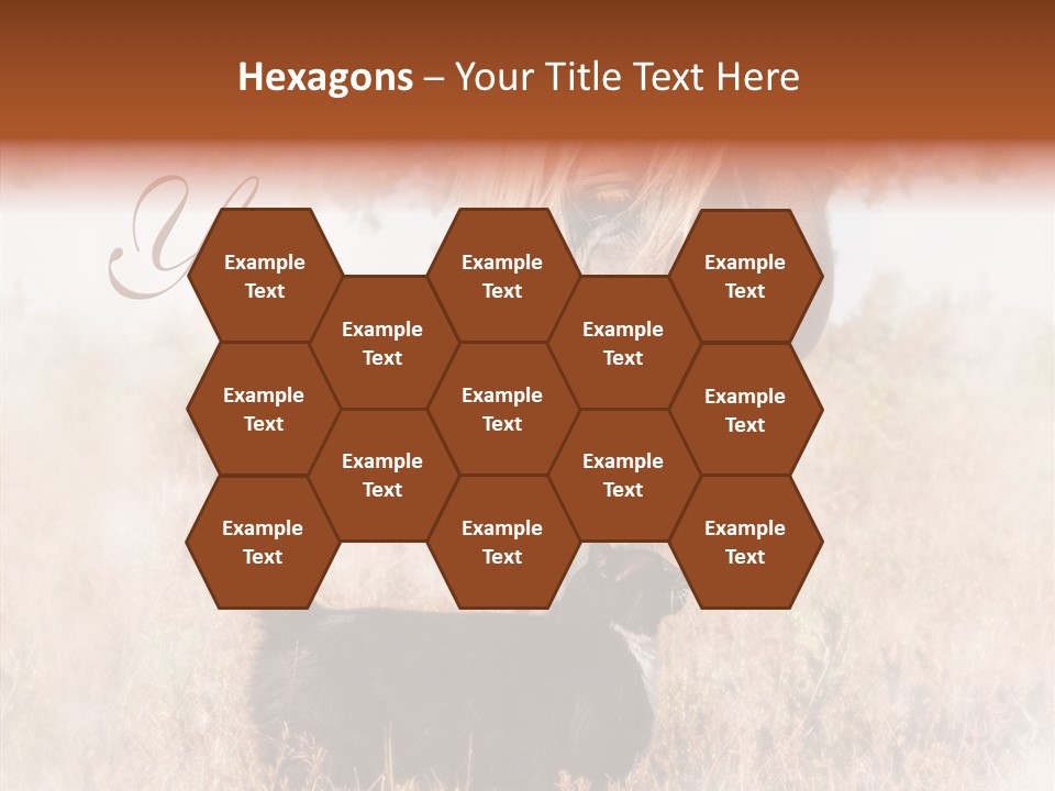 Equine Black Love PowerPoint Template