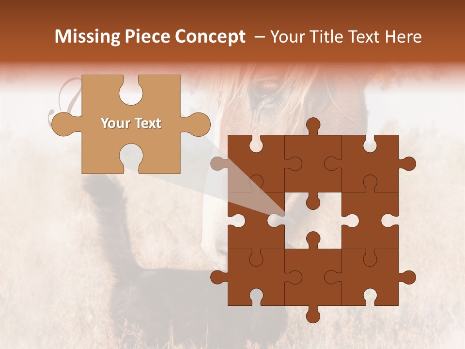 Equine Black Love PowerPoint Template