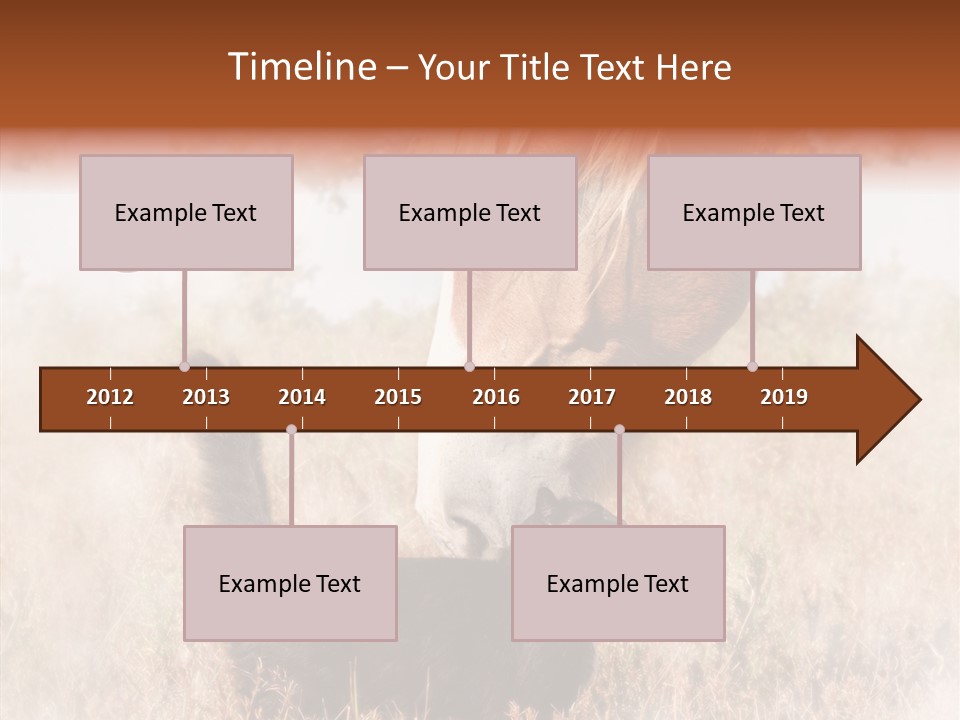 Equine Black Love PowerPoint Template