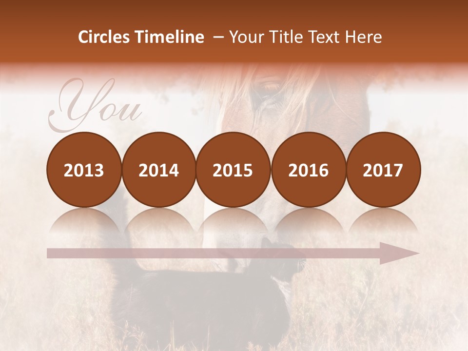 Equine Black Love PowerPoint Template