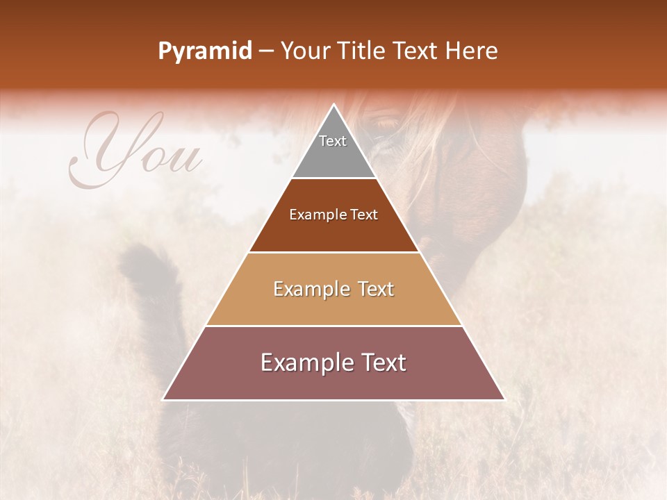 Equine Black Love PowerPoint Template