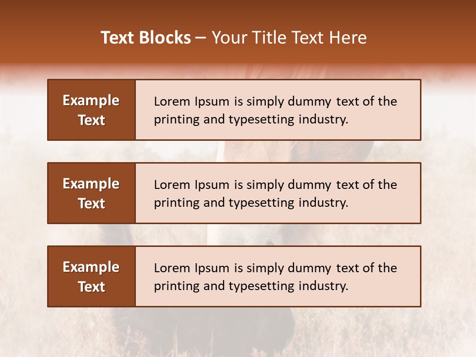 Equine Black Love PowerPoint Template