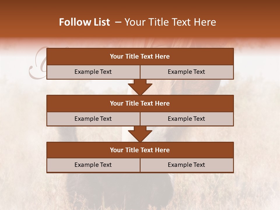 Equine Black Love PowerPoint Template