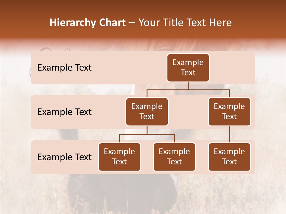 Equine Black Love PowerPoint Template