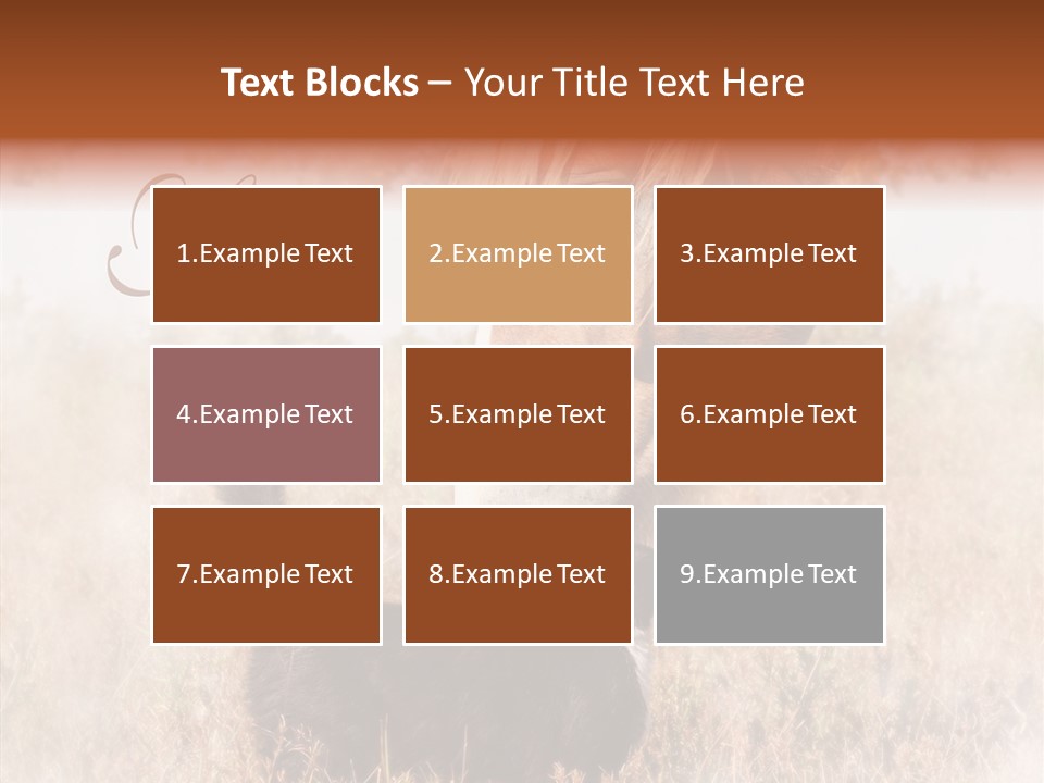 Equine Black Love PowerPoint Template