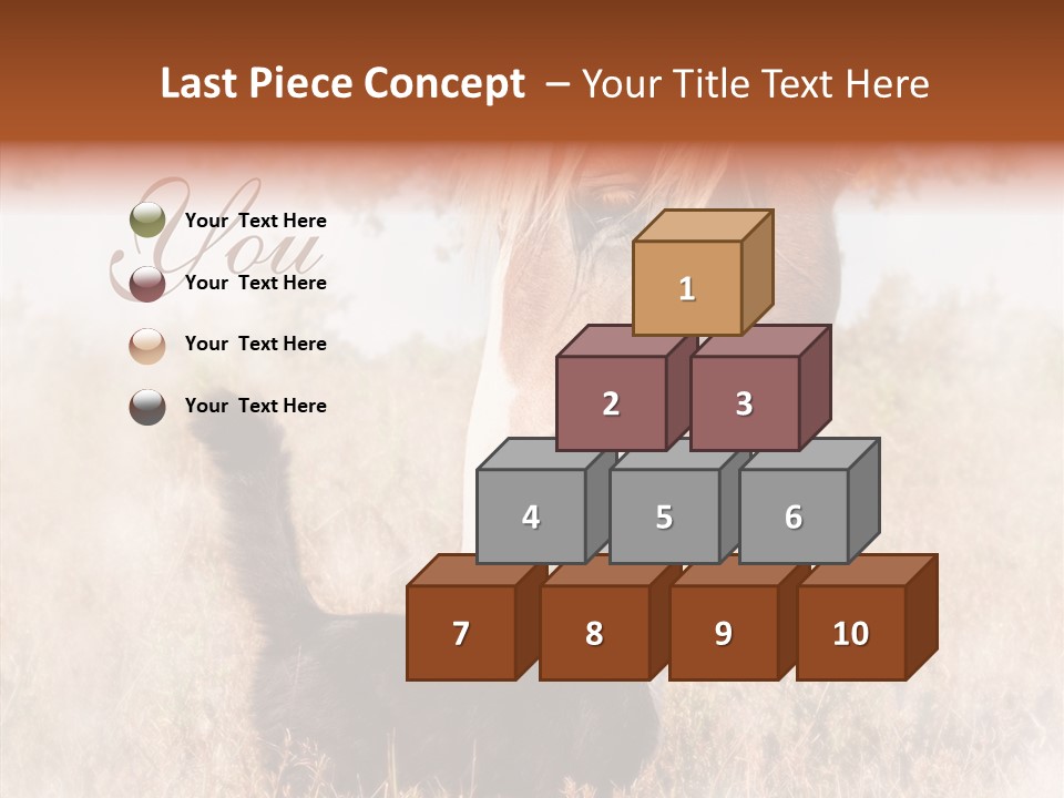 Equine Black Love PowerPoint Template