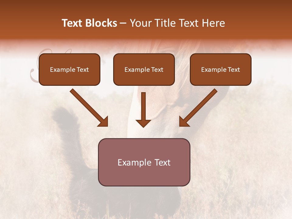 Equine Black Love PowerPoint Template