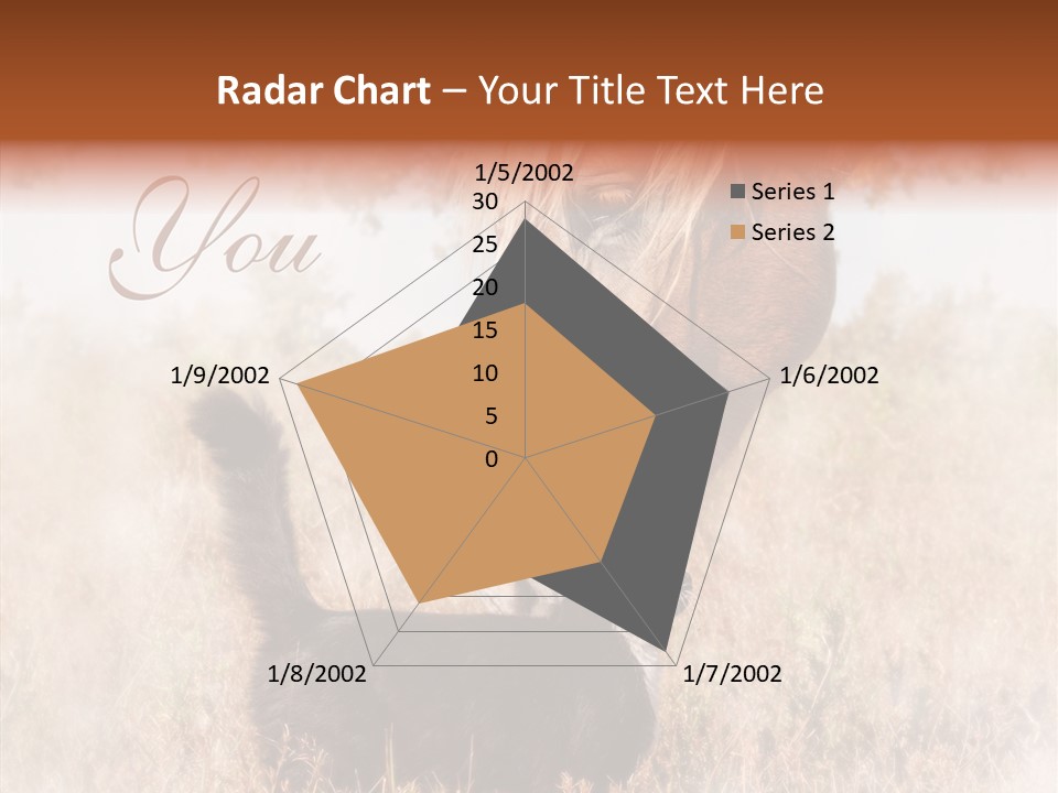 Equine Black Love PowerPoint Template