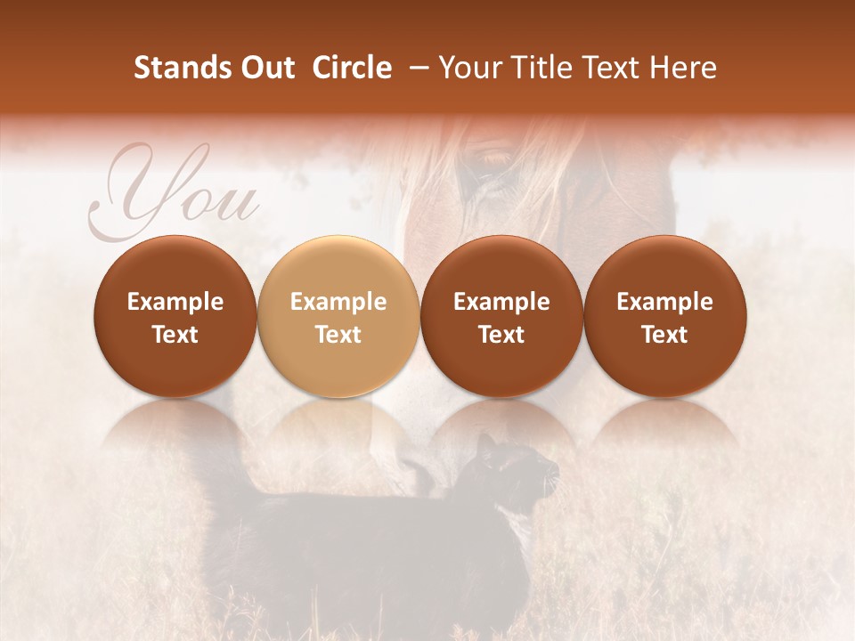 Equine Black Love PowerPoint Template