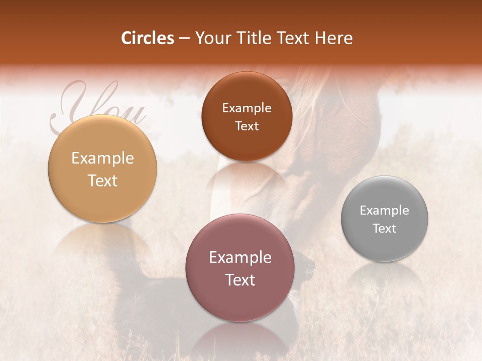 Equine Black Love PowerPoint Template