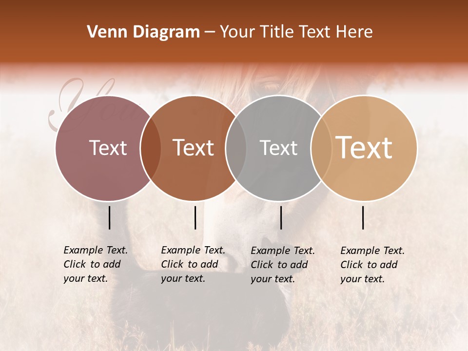 Equine Black Love PowerPoint Template