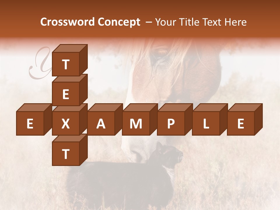 Equine Black Love PowerPoint Template